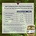 Hemmer Pepinos Em Condimento Suave 300G