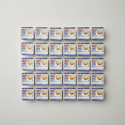 Mini Cream Cheese Blister Sache Creme Queijo 15g Caixa 144