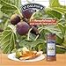 St Dalfour Geleia de Figo (Figues), 284g