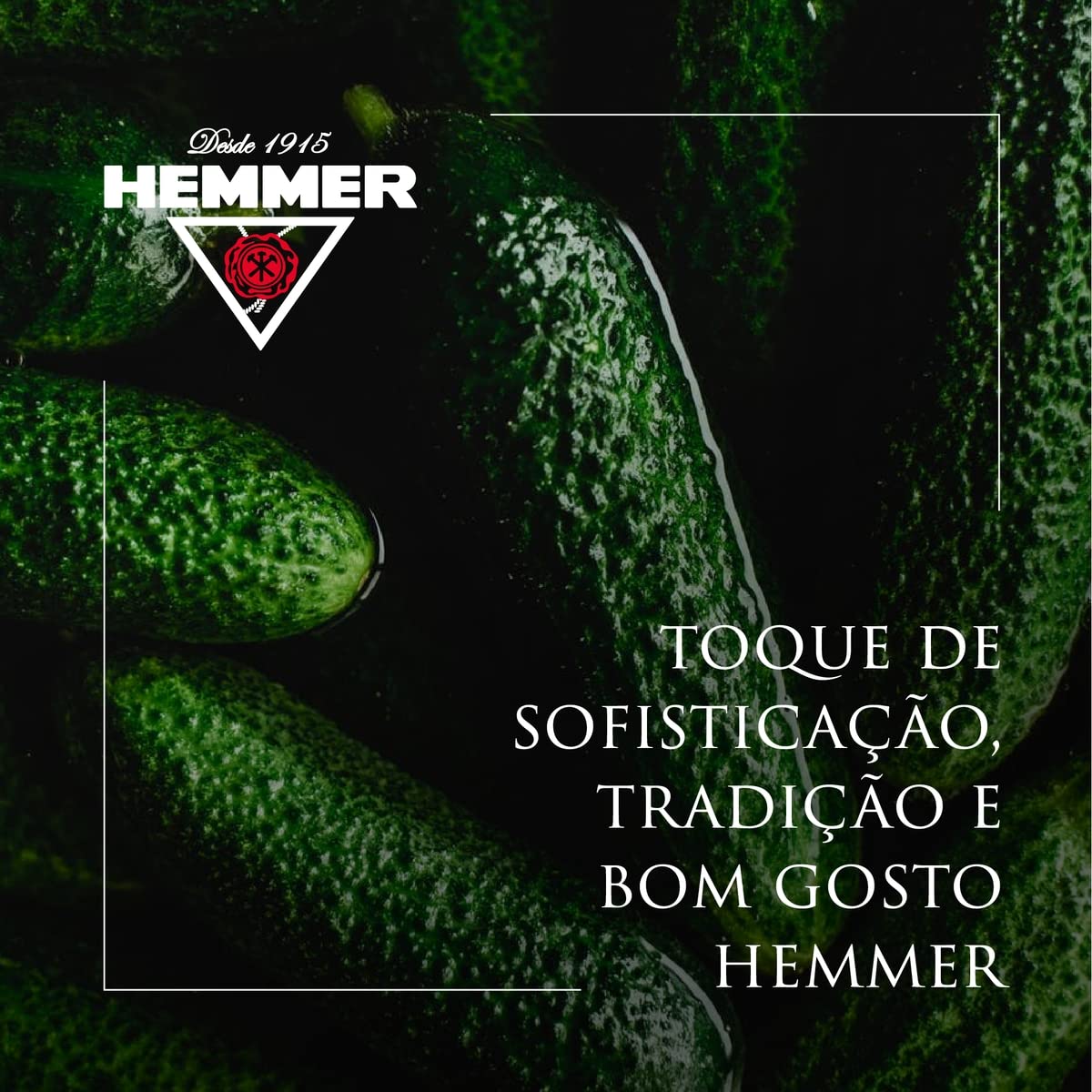 Hemmer Pepinos Em Condimento Suave 300G