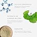 ADCOS Derma Complex Concentrado Vitamina C 20 - Anti-Idade 30ml